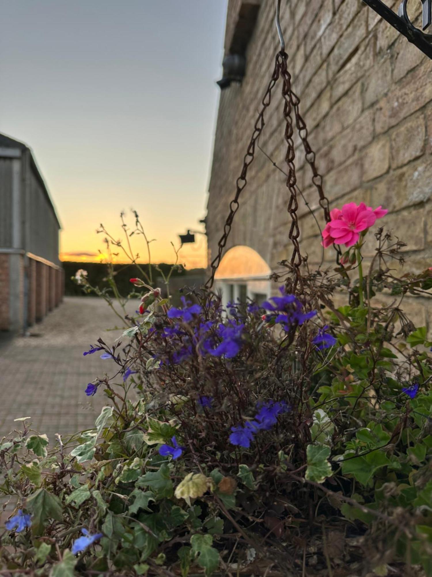 Charming Hen Cottage Countryside Retreat Lincoln Newball Esterno foto